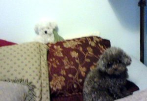 Teedy, Charlie, Sicily 043